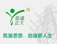 閥型避雷器計數器如何檢測？回顧國家絕緣子避雷器質量監督檢驗中心檢驗報告